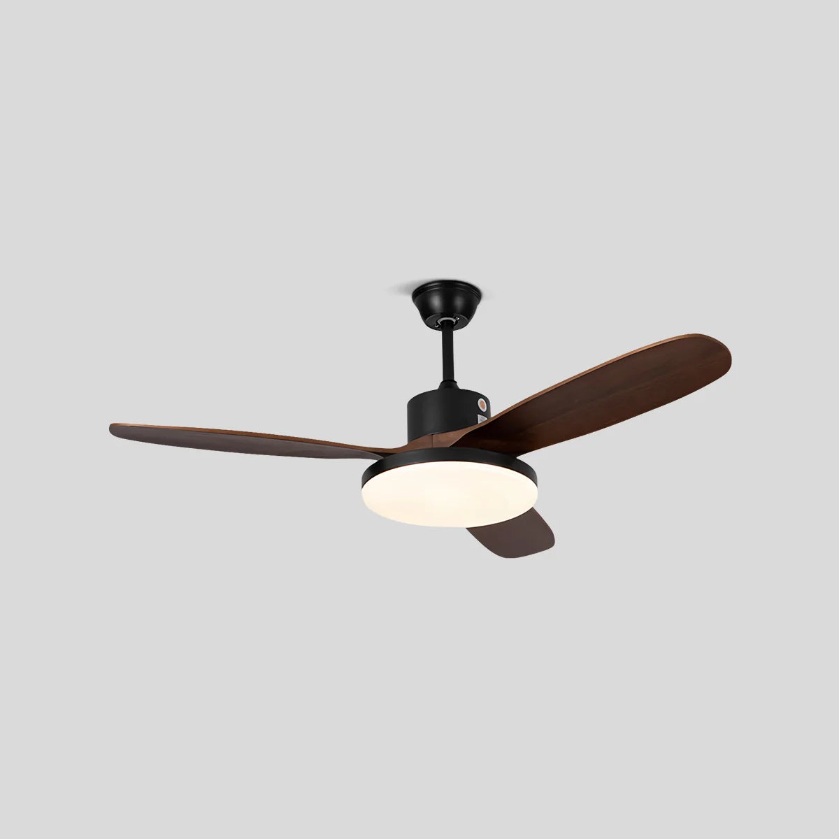 Eloer Wood 3 Blade Ceiling Fan with Light