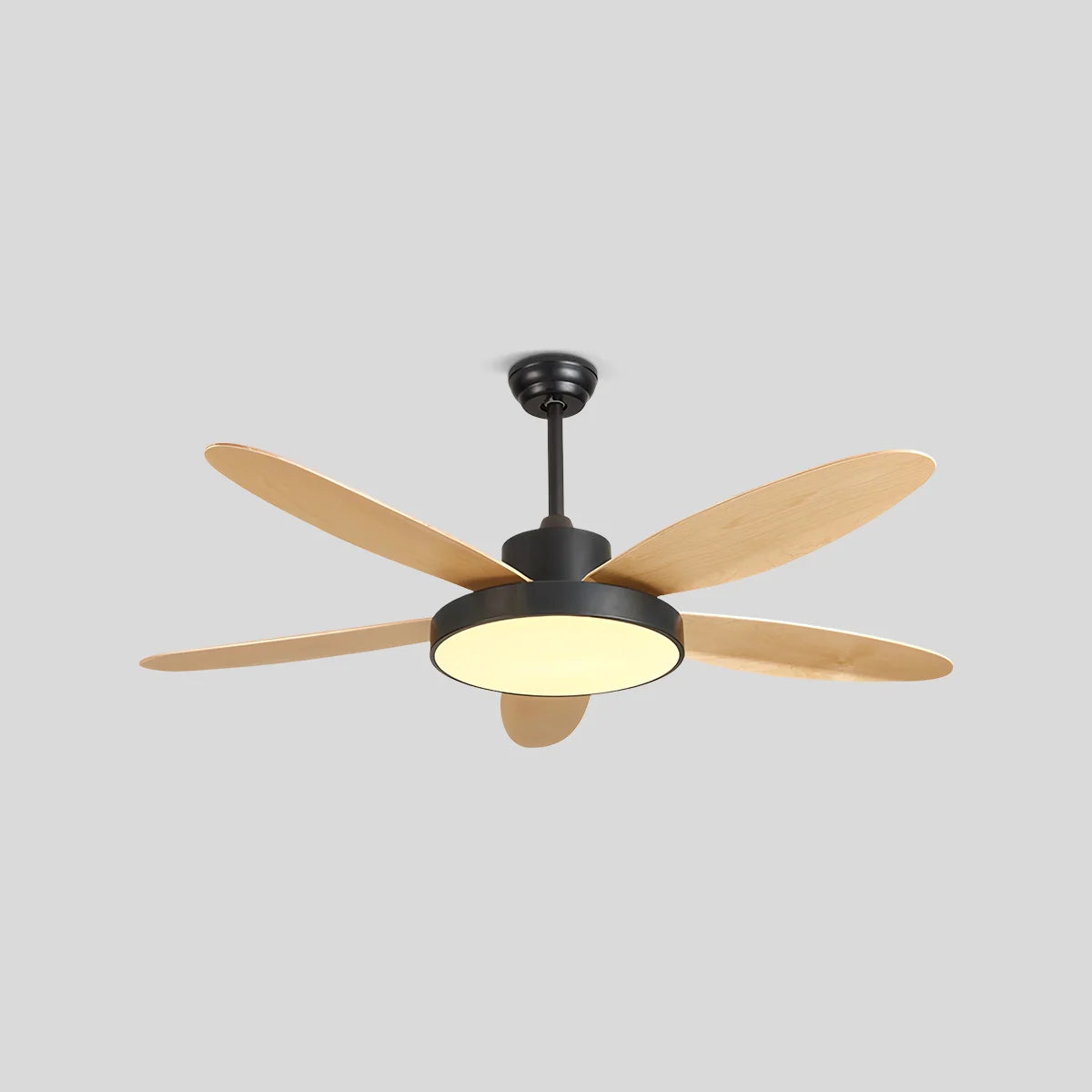 Eloer 5 Blade Modern Ceiling Fan Lamp for Living Room