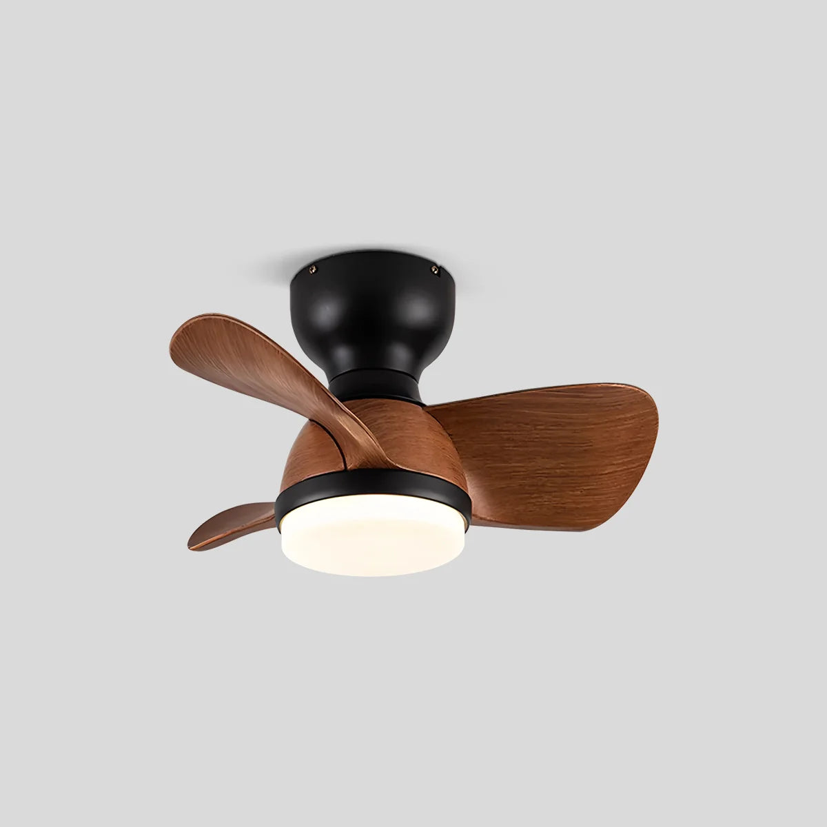 Eloer Small Flush Mount Ceiling Fan with Light
