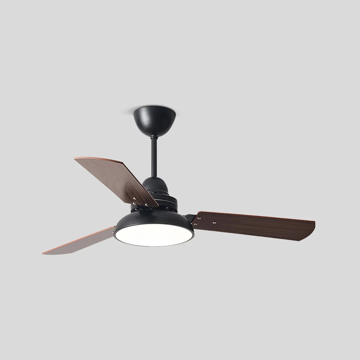 Eloer Modern Minimalist Three Leaf Ceiling Fan Light