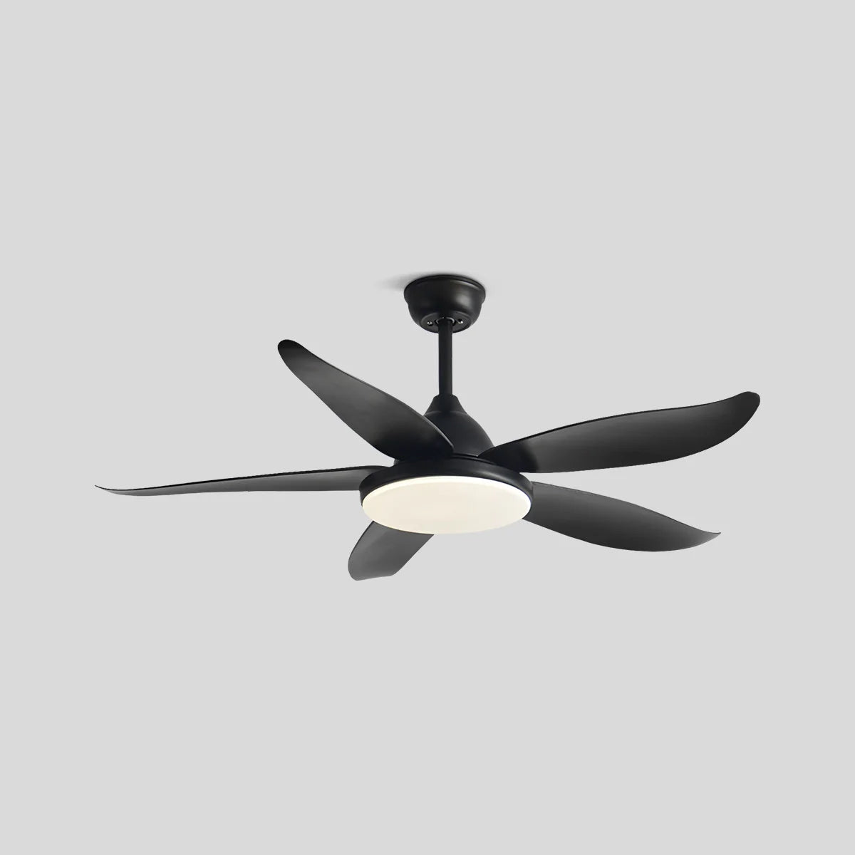 Eloer 5 Blade Contemporary Ceiling Fan Lamp