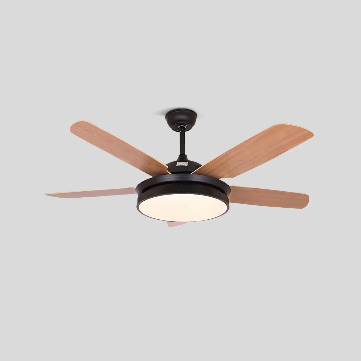 Eloer 5 Blade Ceiling Fan Light for Living Room