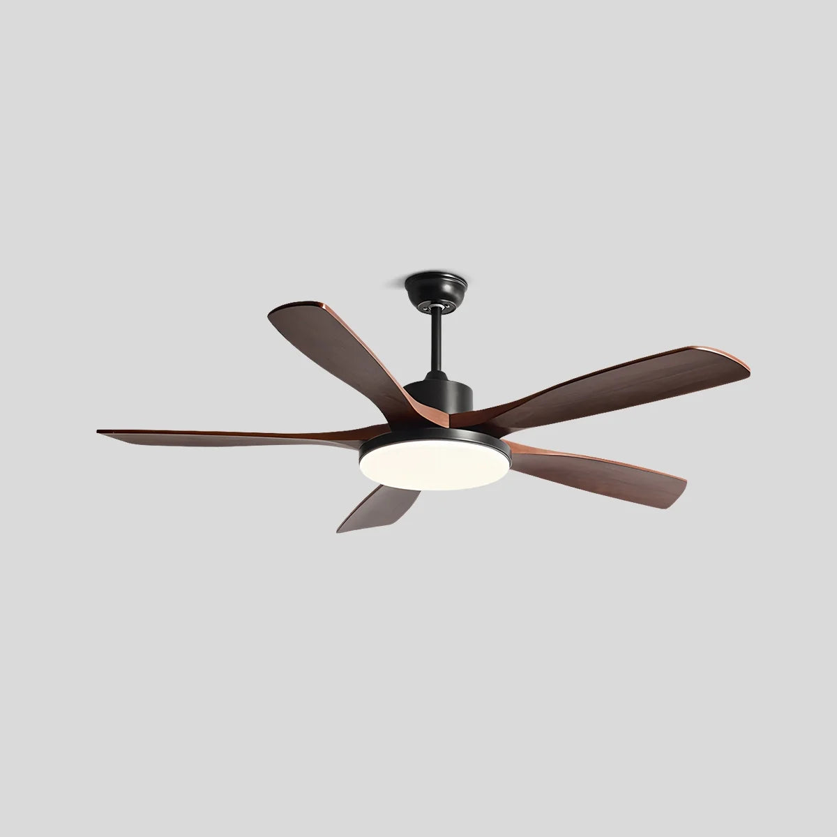 Eloer Minimalist Ceiling Fan with Light for Living Room