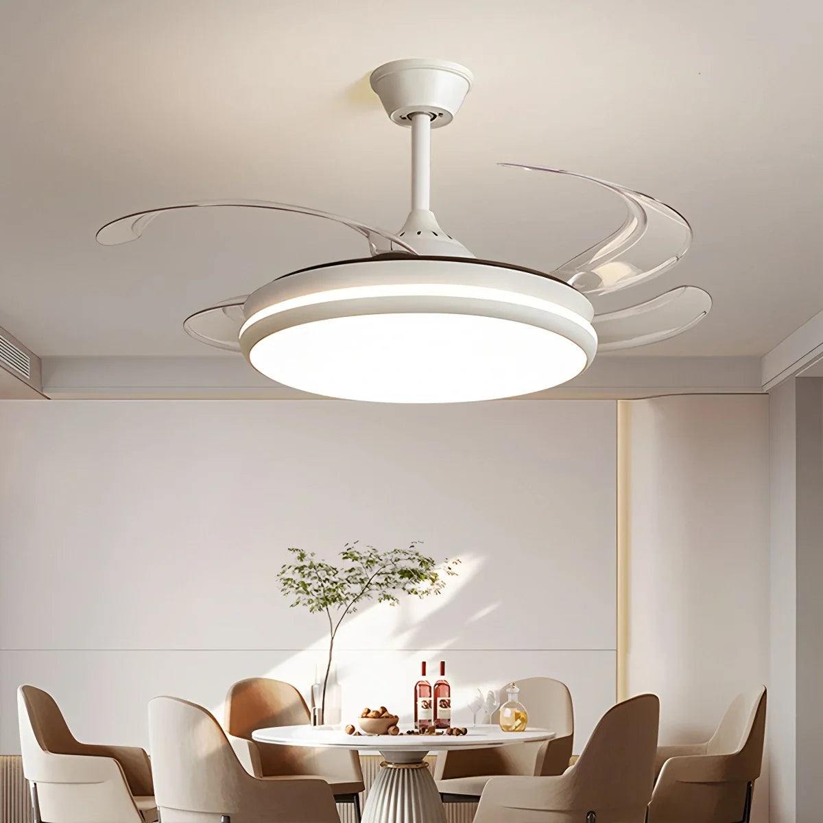 Eloer Modern Remote Ceiling Fan Light with Clear Blades