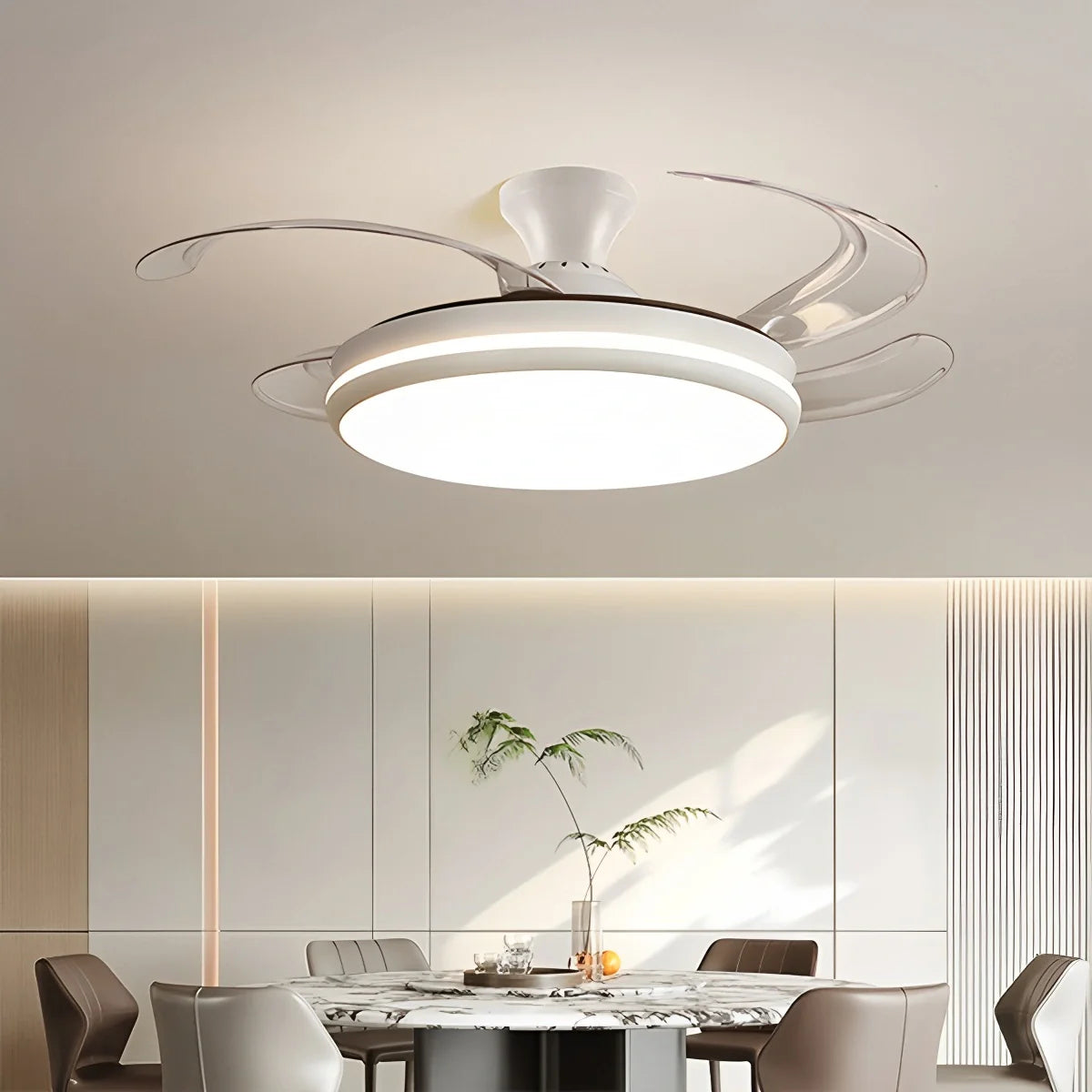 Eloer Modern Remote Ceiling Fan Light with Clear Blades