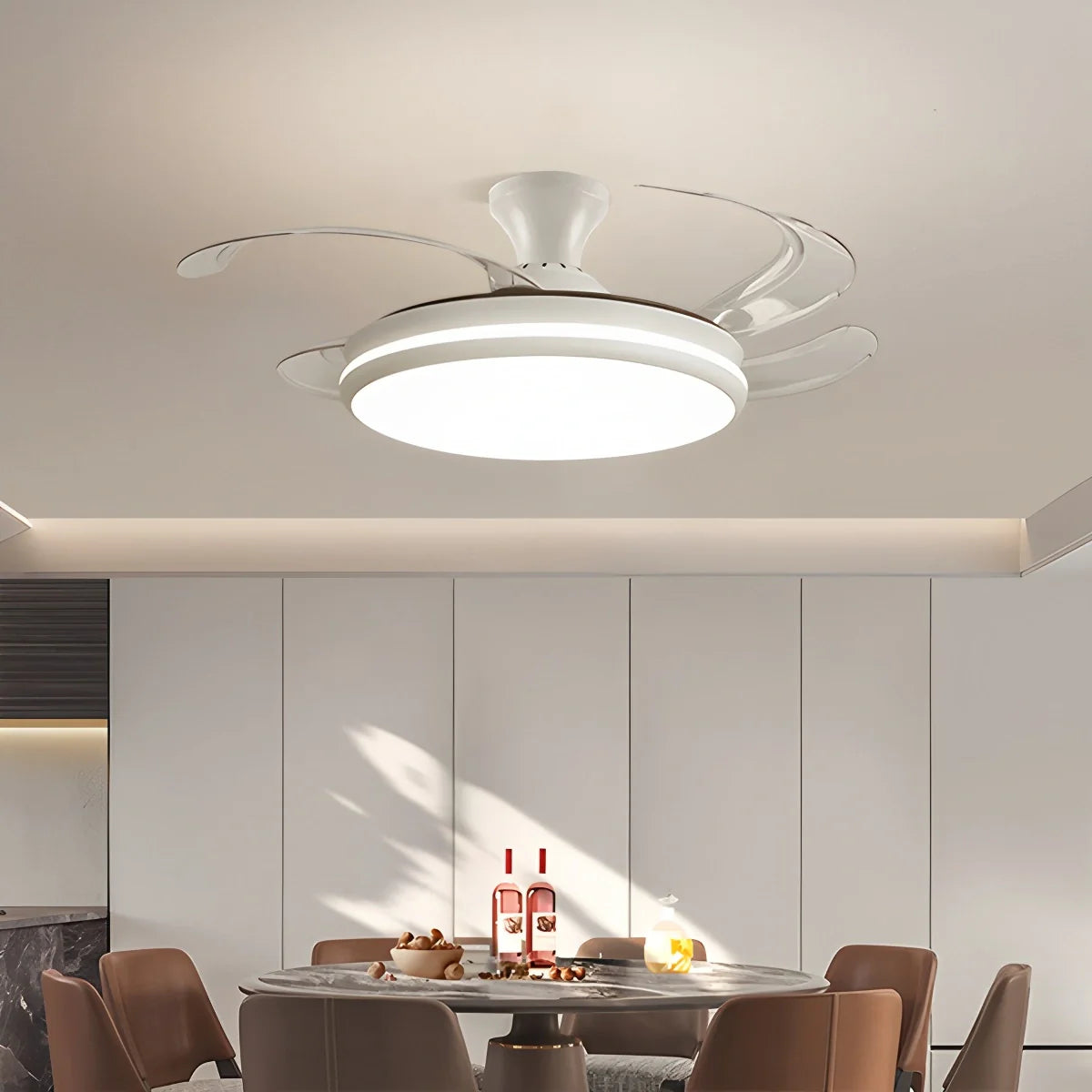 Eloer Modern Remote Ceiling Fan Light with Clear Blades