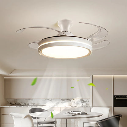 Eloer Modern Silent Remote Control Ceiling Fan with Light