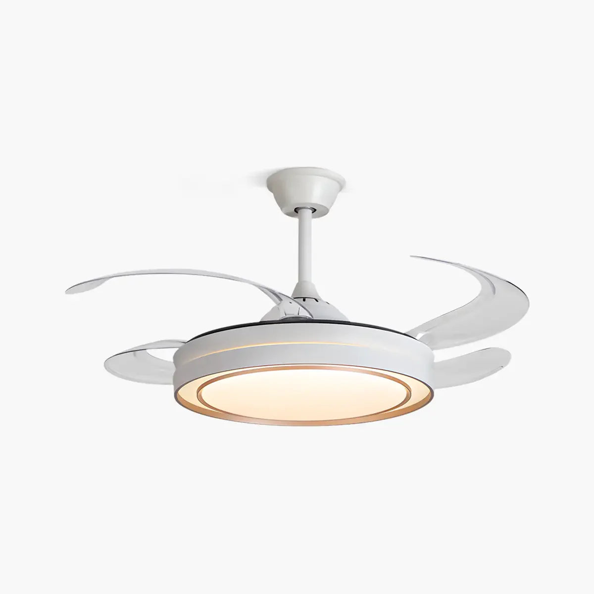 Eloer Modern Round Ceiling Fan Light with Remote Control