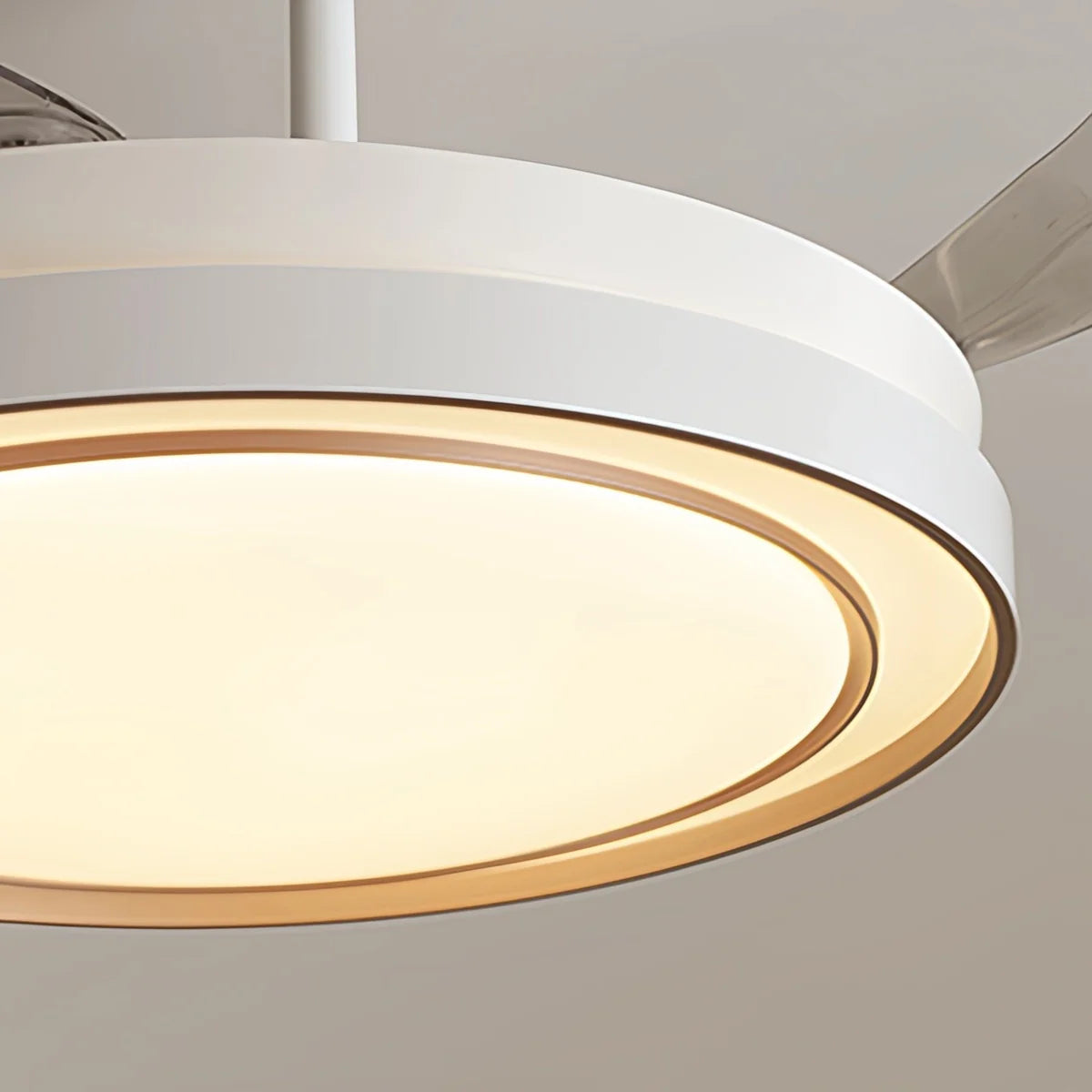 Eloer Modern Round Ceiling Fan Light with Remote Control