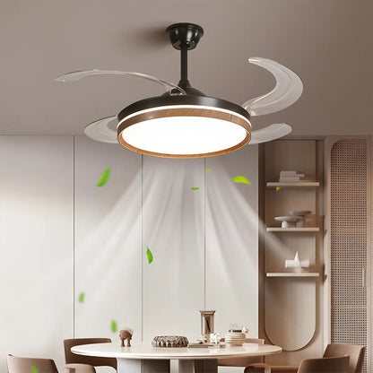 Eloer Retractable Blade Ceiling Fan with Light