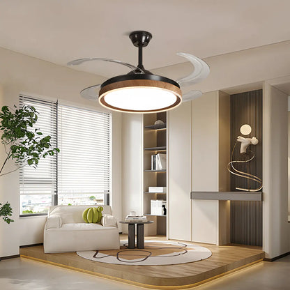 Eloer Retractable Blade Ceiling Fan with Light