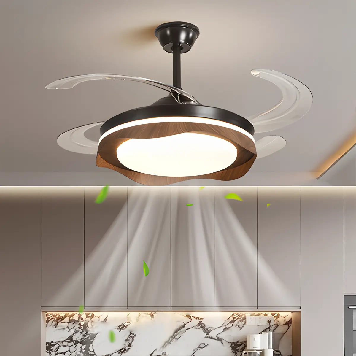 Eloer Retractable Blade Ceiling Fan with Light