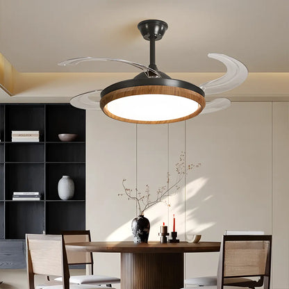 Eloer Retractable Blade Ceiling Fan with Light