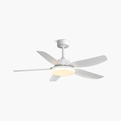 Eloer White Remote Control Ceiling Fan Light