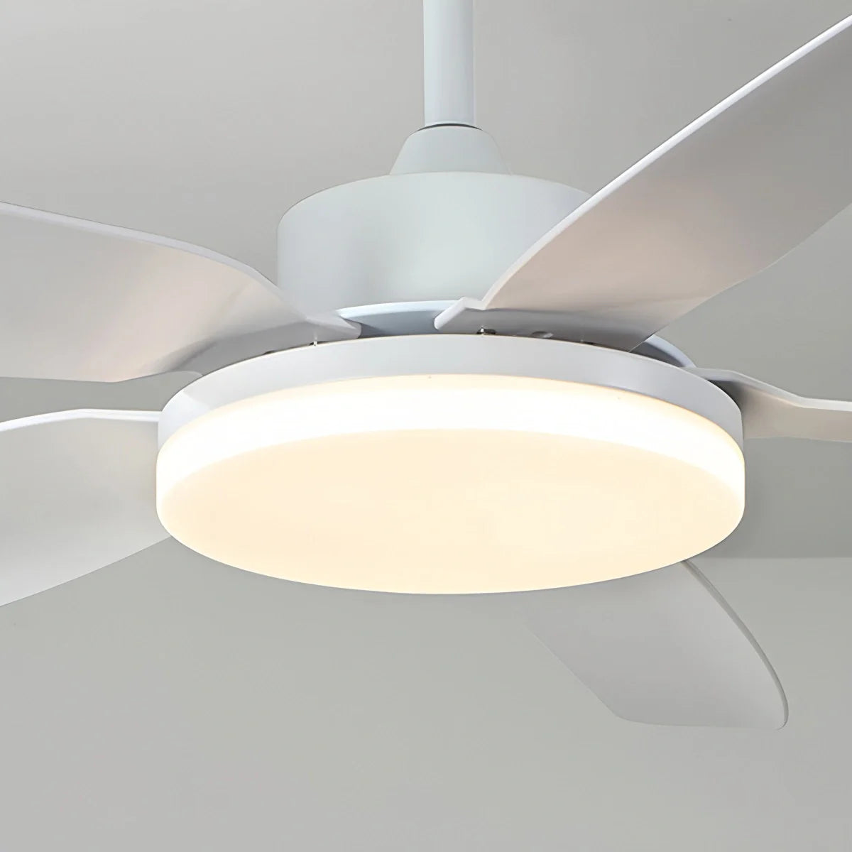 Eloer White Remote Control Ceiling Fan Light