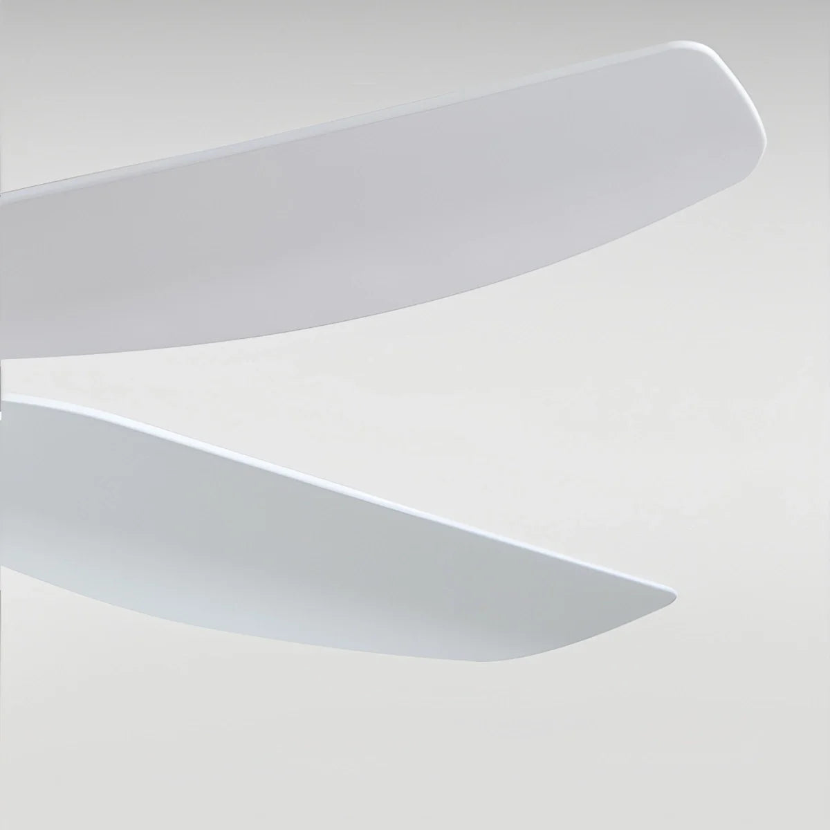 Eloer White Remote Control Ceiling Fan Light