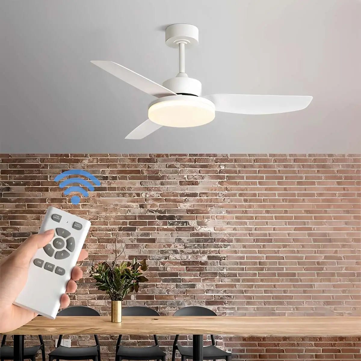 Eloer White Remote Control Ceiling Fan Light