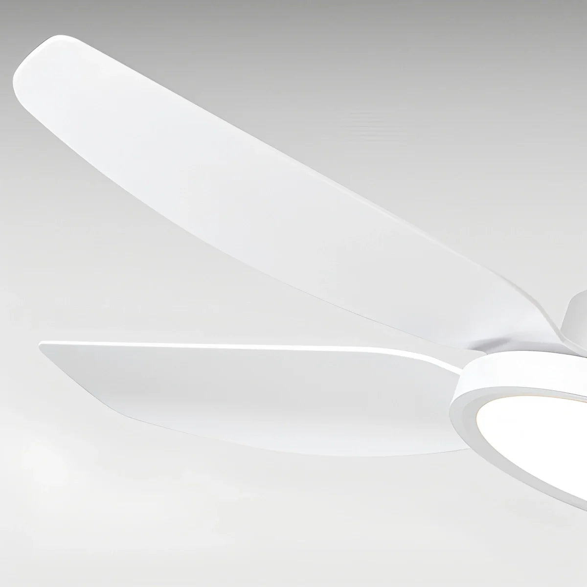 Eloer Modern White Ceiling Fans with Lights and Remote