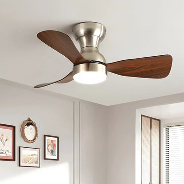 Eloer Small Size Indoor Ceiling Fan Light with Remote