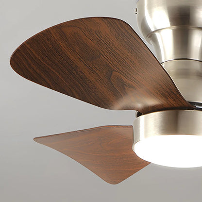 Eloer Small Size Indoor Ceiling Fan Light with Remote