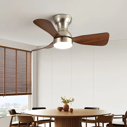 Eloer Small Size Indoor Ceiling Fan Light with Remote