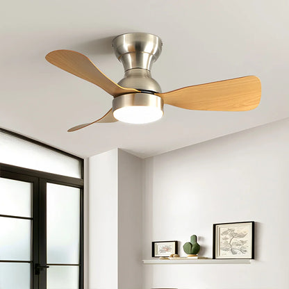 Eloer Small Size Indoor Ceiling Fan Light with Remote
