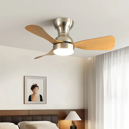 Eloer Small Size Indoor Ceiling Fan Light with Remote