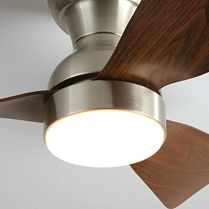 Eloer Small Size Indoor Ceiling Fan Light with Remote