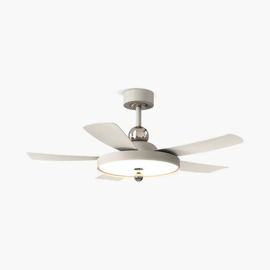 Eloer Silent Ceiling Fan with Light & Remote Control