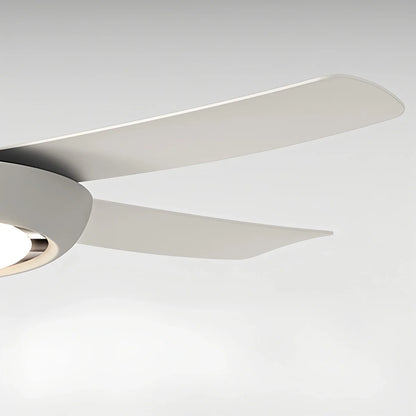 Eloer Silent Ceiling Fan with Light & Remote Control