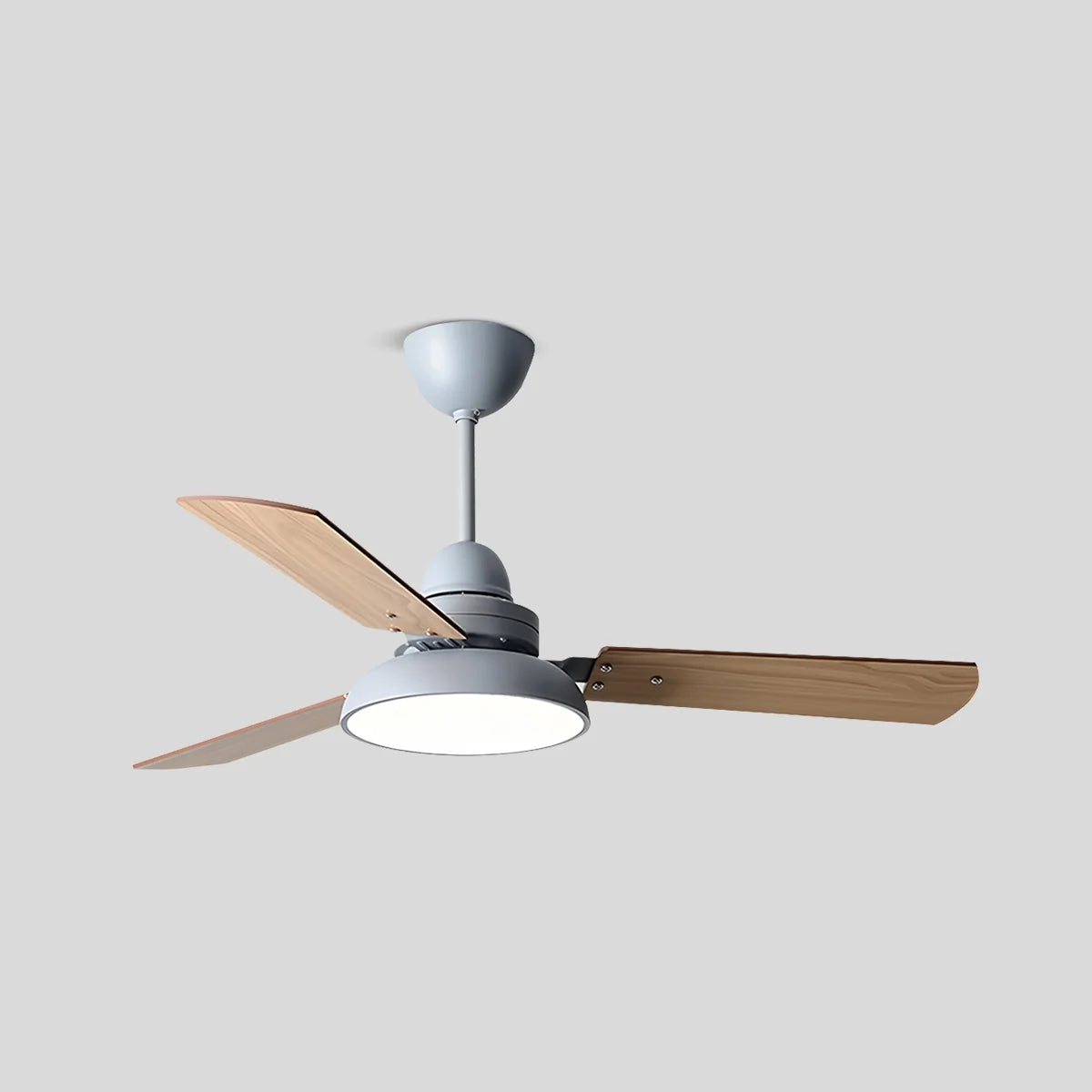 Eloer Modern Minimalist Three Leaf Ceiling Fan Light