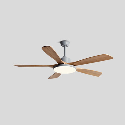 Eloer Minimalist Ceiling Fan with Light for Living Room
