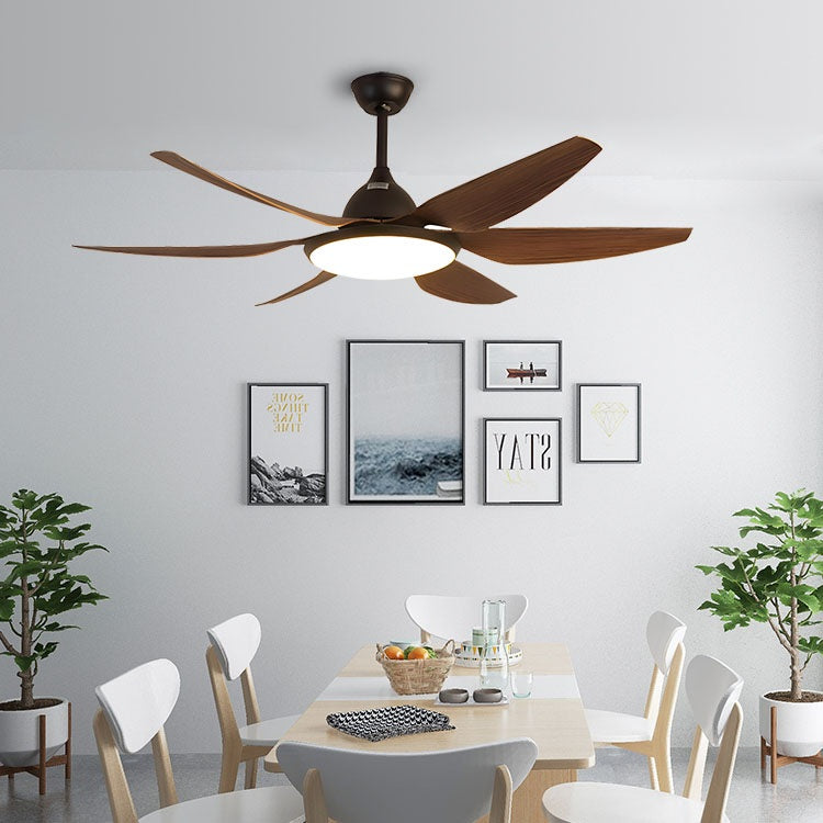 Eloer Reversible Large Ceiling Fan Light