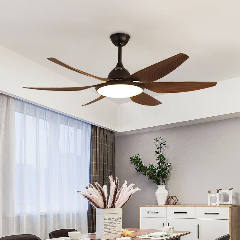 Eloer Reversible Large Ceiling Fan Light for Living Room
