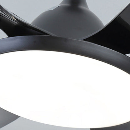 Eloer Reversible Large Ceiling Fan Light for Living Room