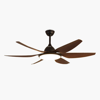 Eloer Reversible Large Ceiling Fan Light