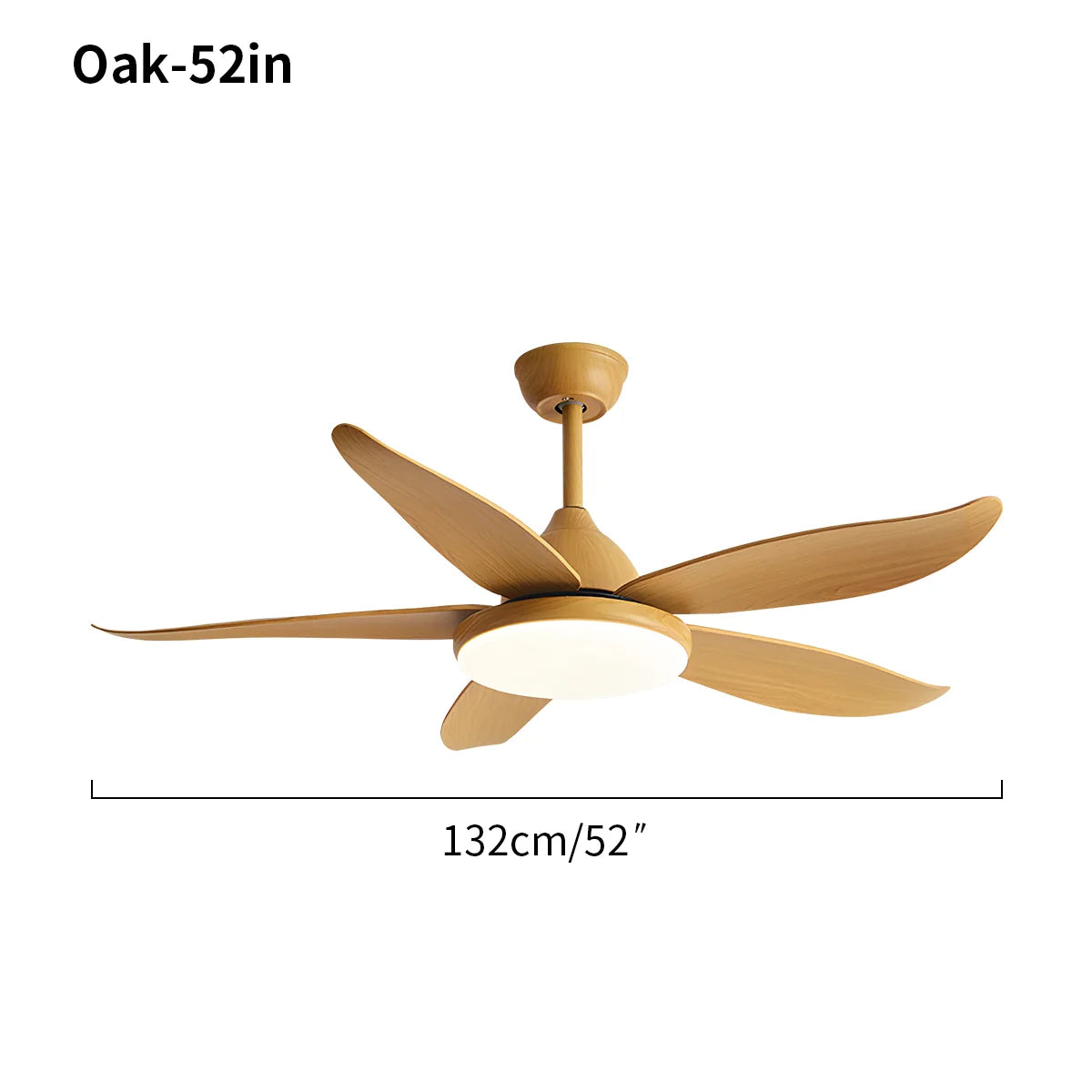 Eloer 5 Blade Contemporary Ceiling Fan Lamp