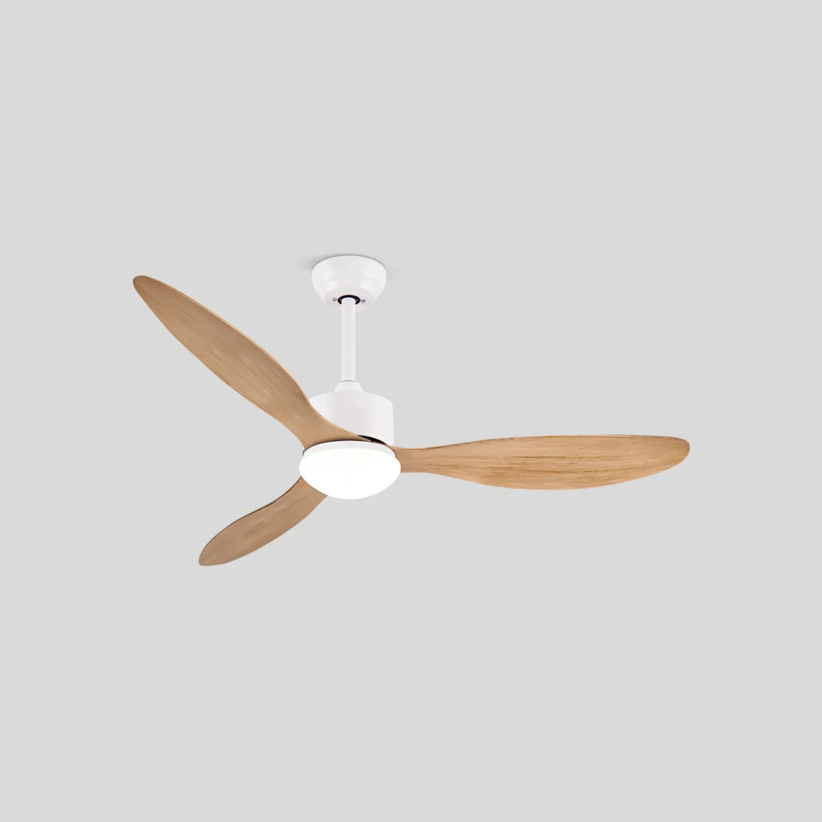 Eloer 3 Blade Modern Ceiling Fan with Light