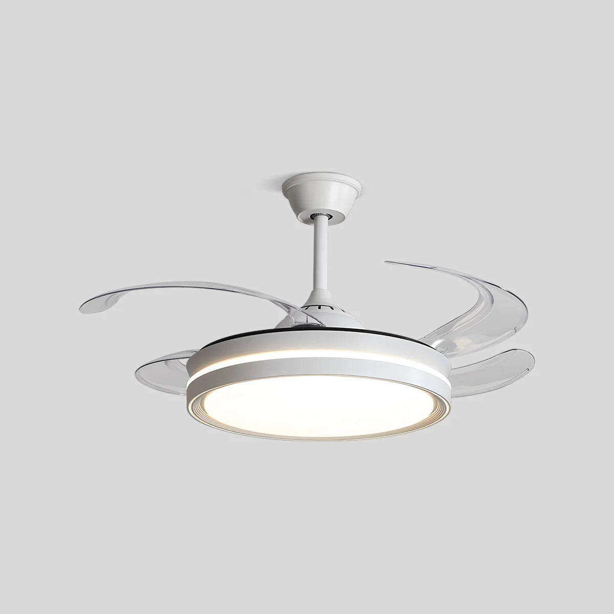 Eloer Modern Silent Remote Control Ceiling Fan with Light