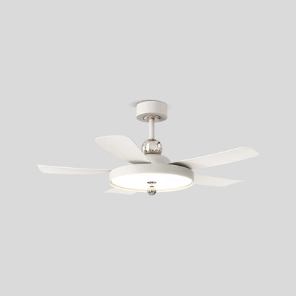 Eloer Silent Ceiling Fan with Light & Remote Control