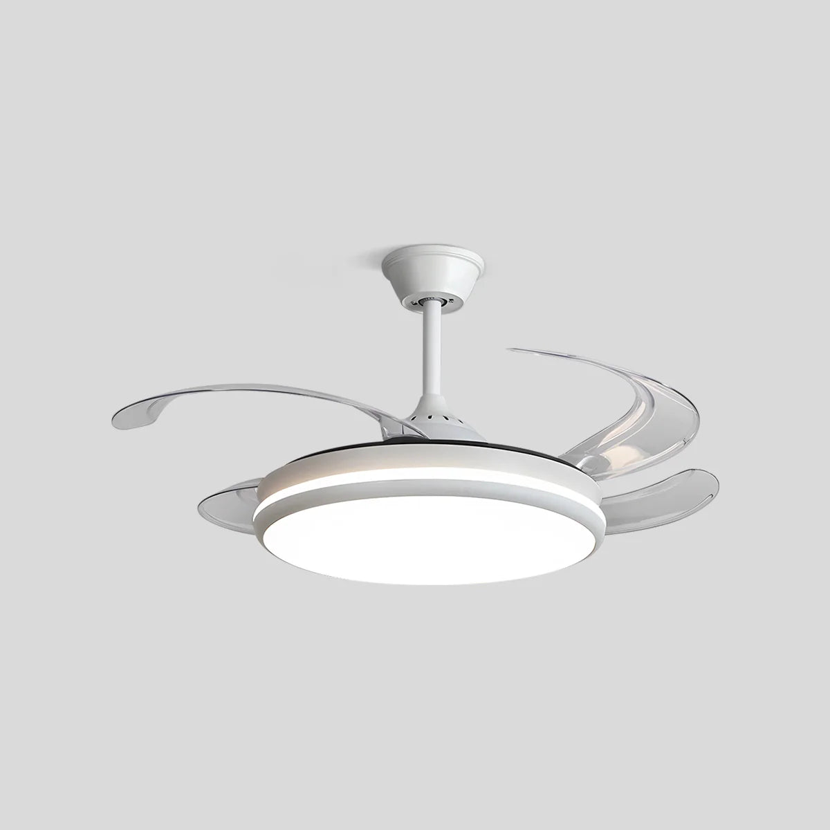 Eloer Modern Remote Ceiling Fan Light with Clear Blades