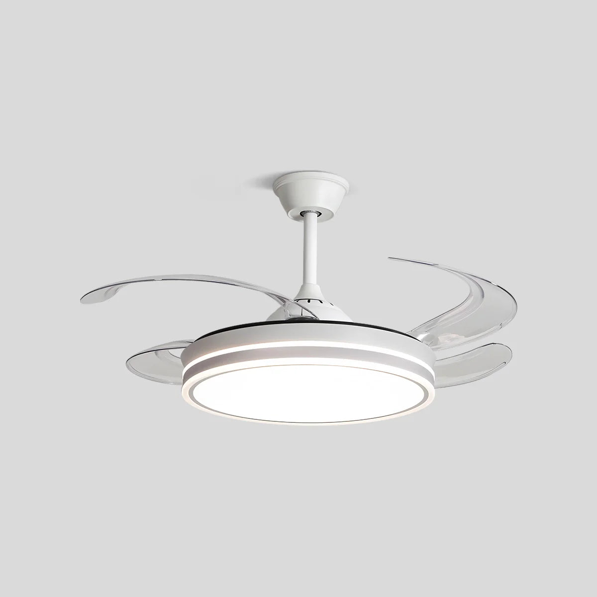 Eloer Modern Ceiling Fan with LED Light & Remote Control