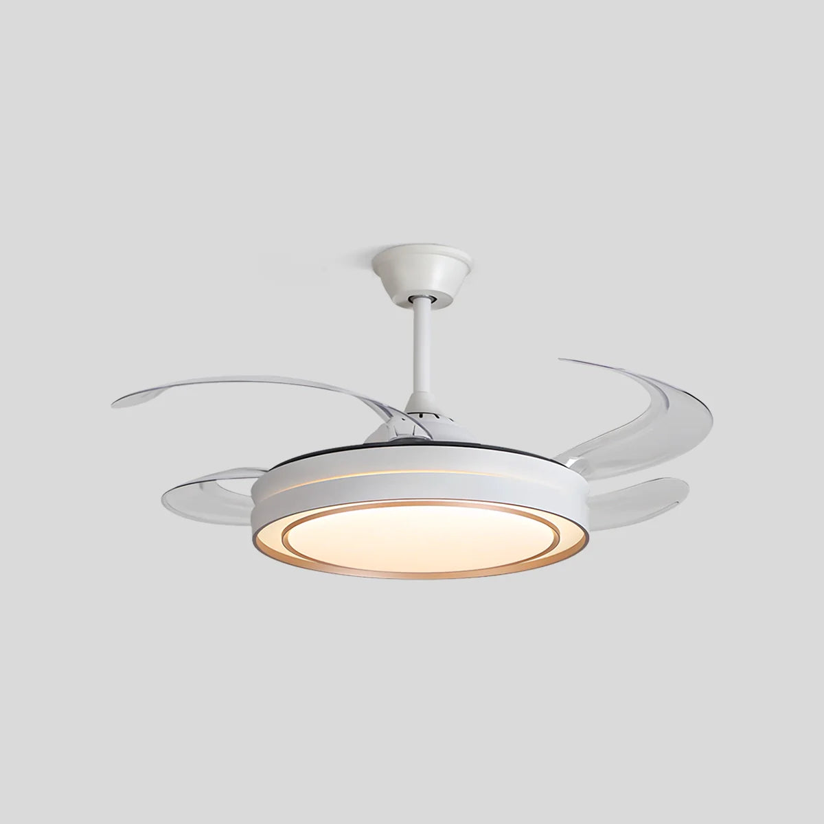Eloer Modern Round Ceiling Fan Light with Remote Control