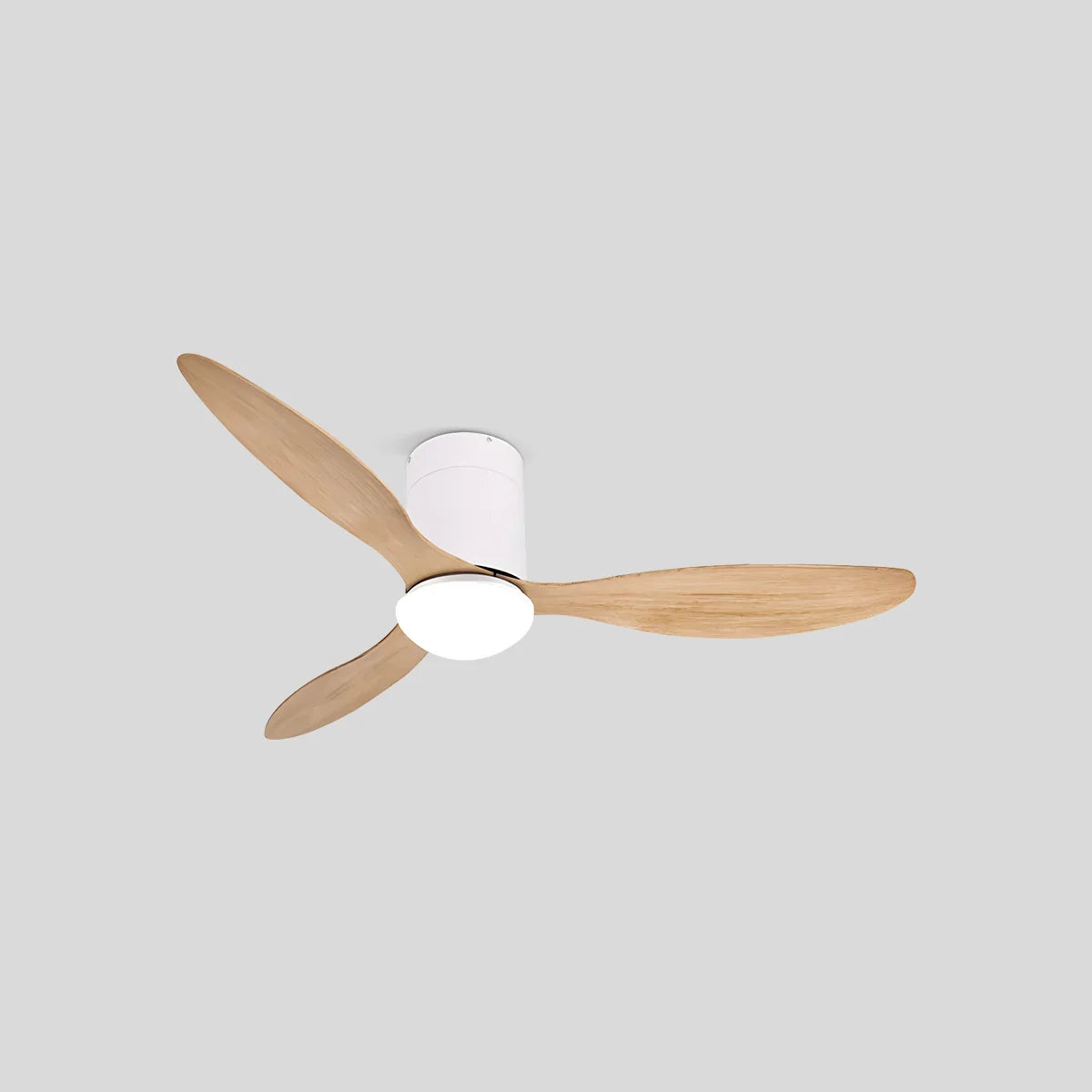 Eloer 3 Blade Modern Ceiling Fan with Light