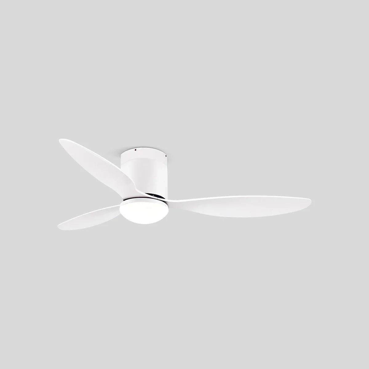 Eloer 3 Blade Modern Ceiling Fan with Light