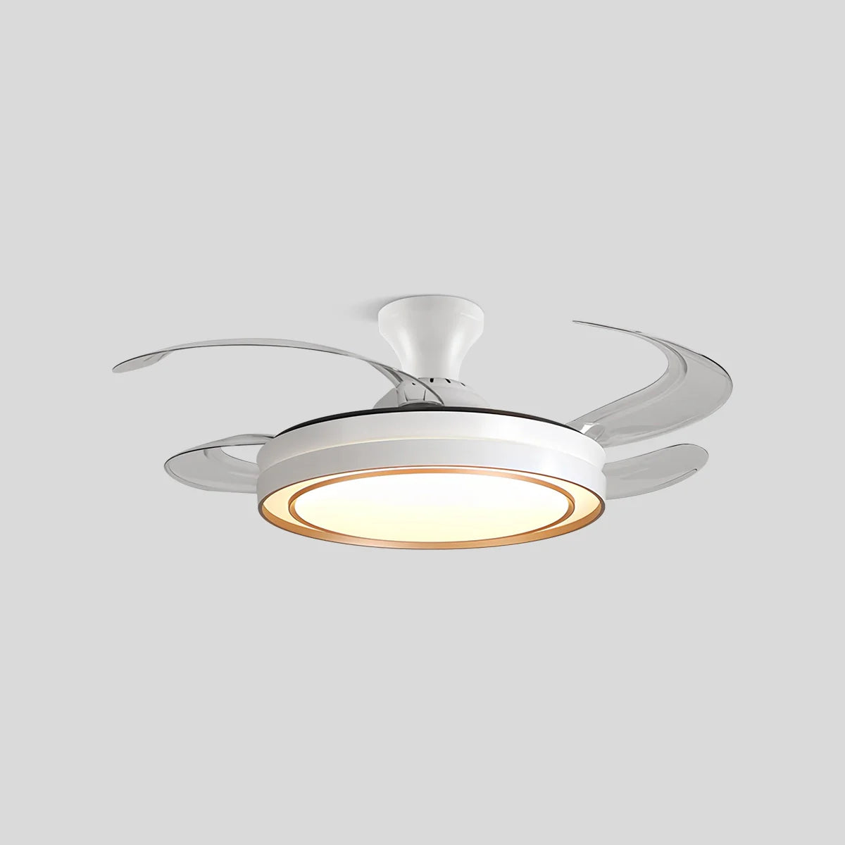 Eloer Modern Round Ceiling Fan Light with Remote Control