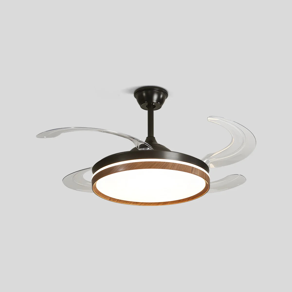 Eloer Retractable Blade Ceiling Fan with Light
