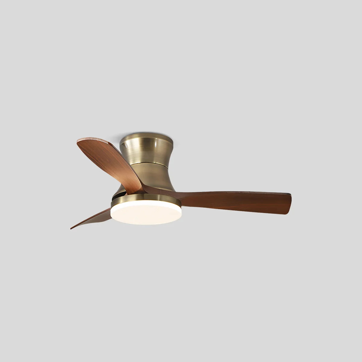 Eloer Modern 5-leaf Remote Control Ceiling Fan Light