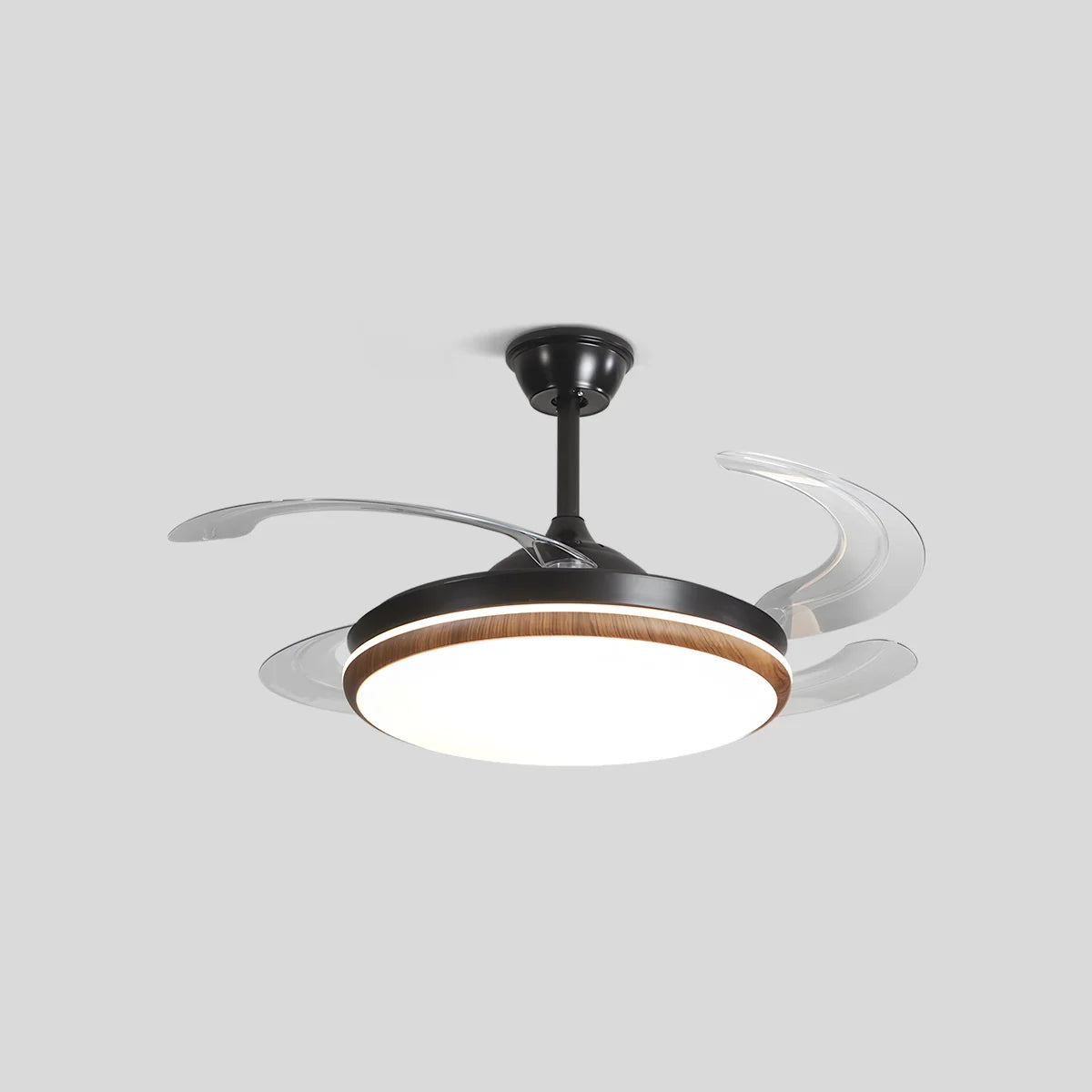 Eloer Retractable Blade Ceiling Fan with Light