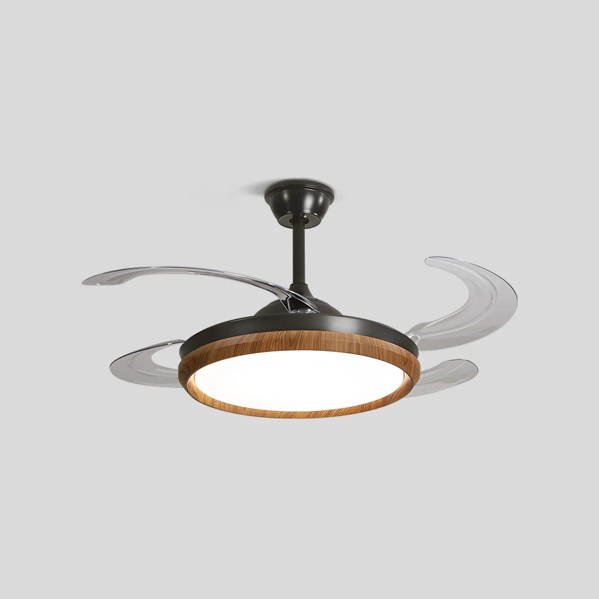 Eloer Retractable Blade Ceiling Fan with Light